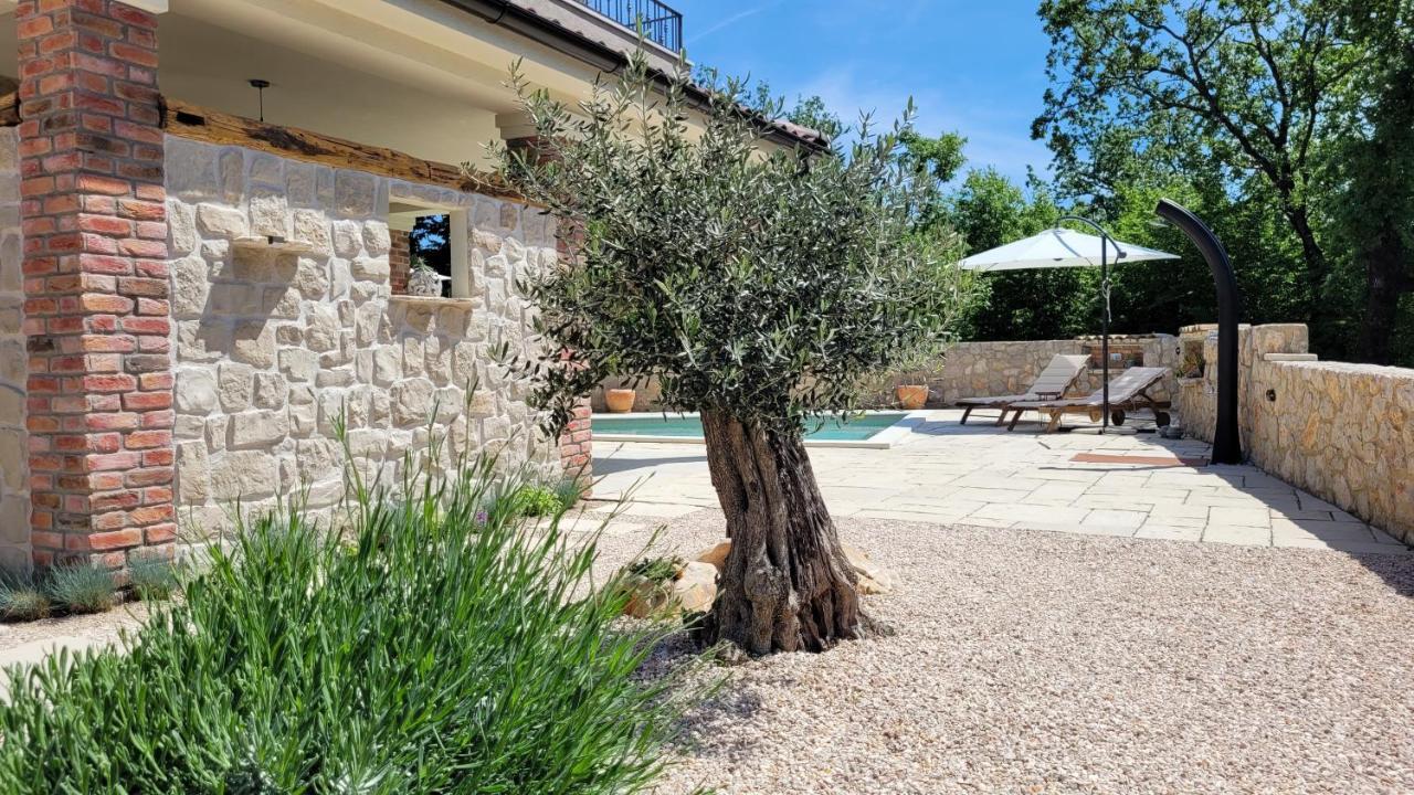 Villa Alara - Charming Villa With Heated Swimming Pool Milohnici Esterno foto